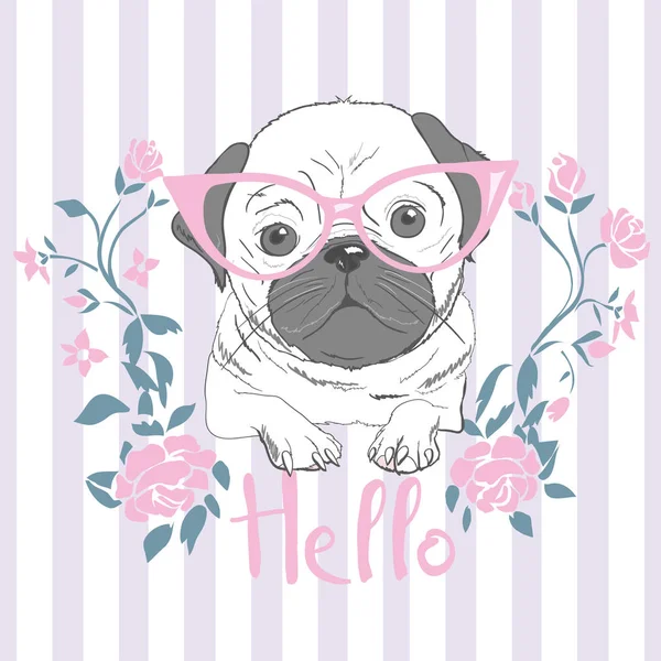 Bulldog, köpek, vektör, illüstrasyon