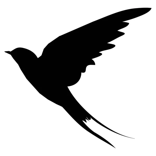 Hirondelles oiseaux illustration vectorielle — Image vectorielle