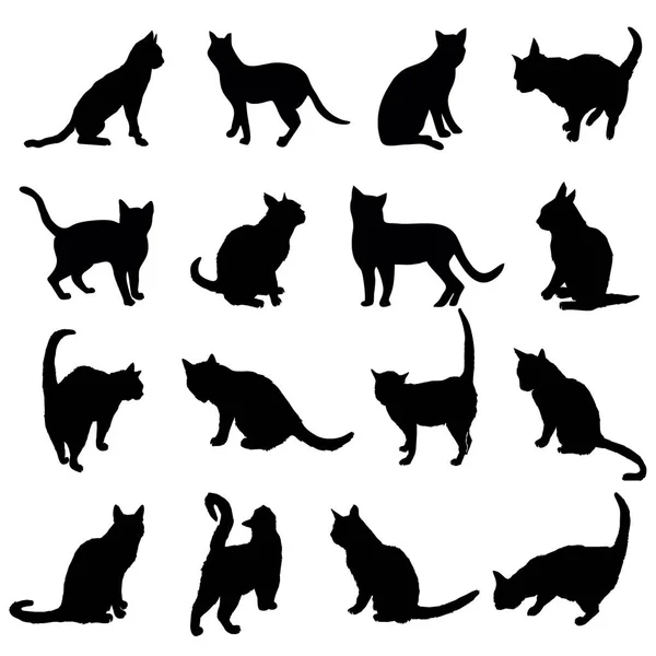 Cat silhouette, vector, illustration — Stock Vector