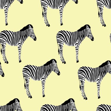 Zebra, hayvan, vektör, illüstrasyon
