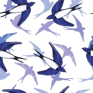 Kırlangıçlar model, vektör, illüstrasyon