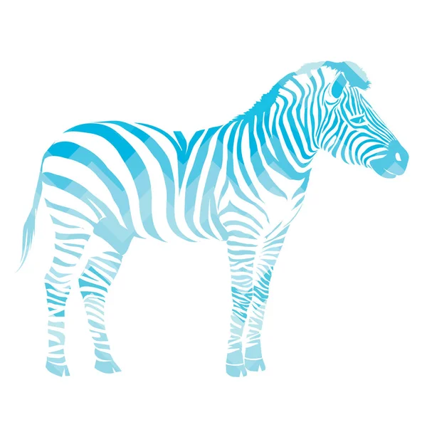 Cebra, animal, vector, ilustración — Vector de stock