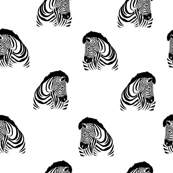 Zebra, animal, vector, illustration