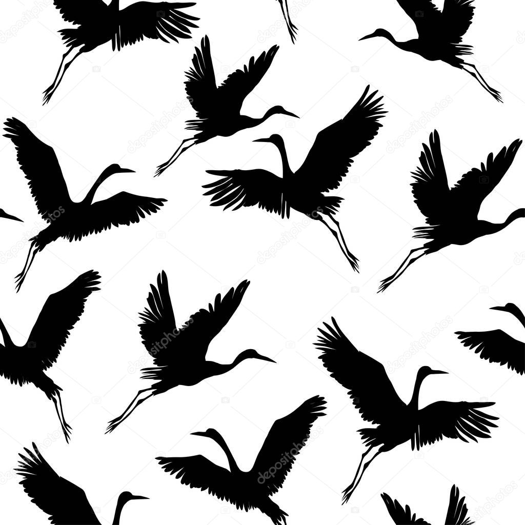 crane, birds, vector, illustration