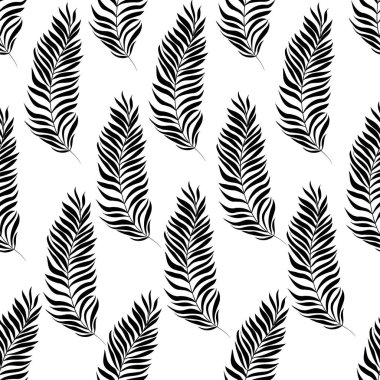 Fern, palm, doğa, vektör, illüstrasyon