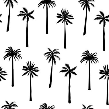 palmiye ağacı, doğa, vektör, illüstrasyon