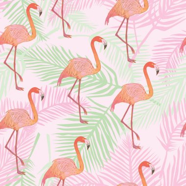 Flamingo model, vektör, illüstrasyon