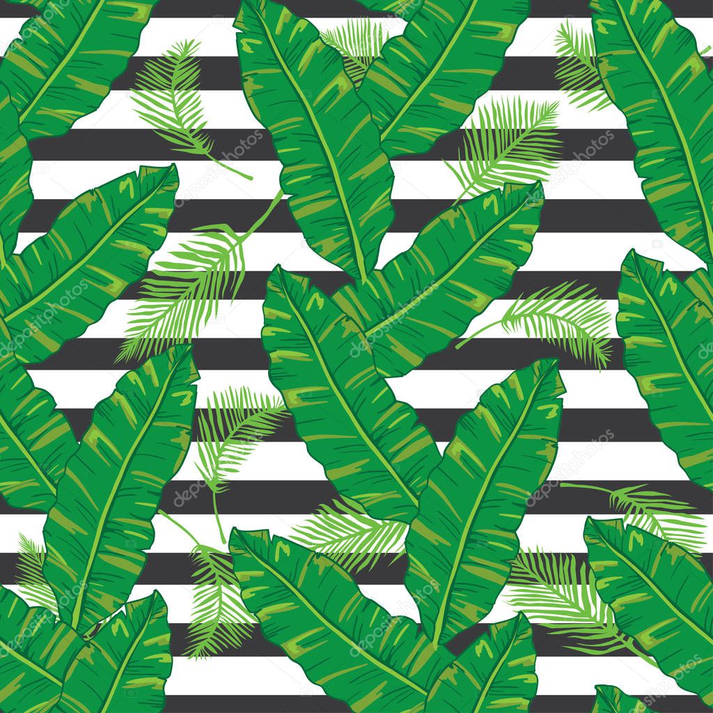 fern, palm, nature, vector, illustration
