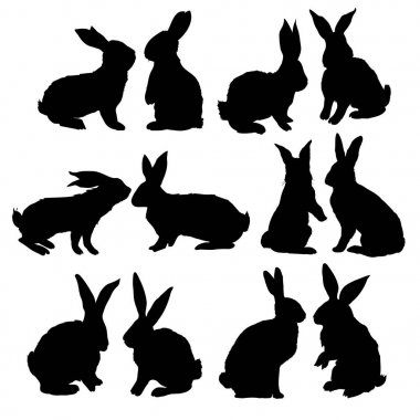 Tavşan, hayvan, illüstrasyon, vektör