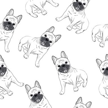 Bulldog model, vektör, illüstrasyon