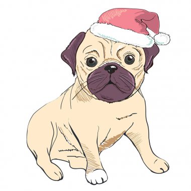 Bulldog model, vektör, illüstrasyon