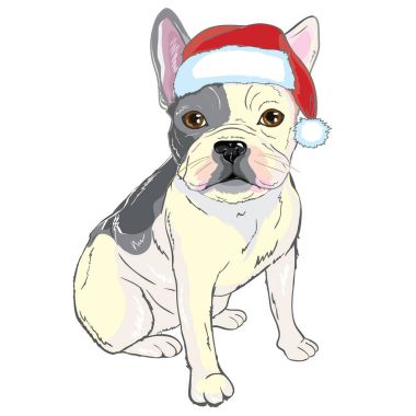 Bulldog model, vektör, illüstrasyon