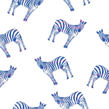 Zebra desen, vektör, illüstrasyon