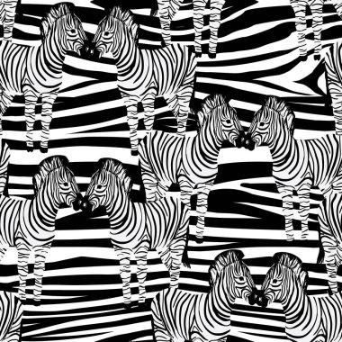 Zebra desen, vektör, illüstrasyon