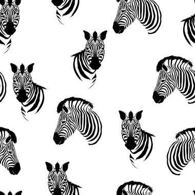 Zebra desen, vektör, illüstrasyon