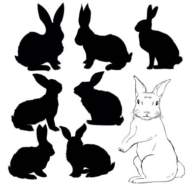 Tavşan, hayvan, illüstrasyon, vektör