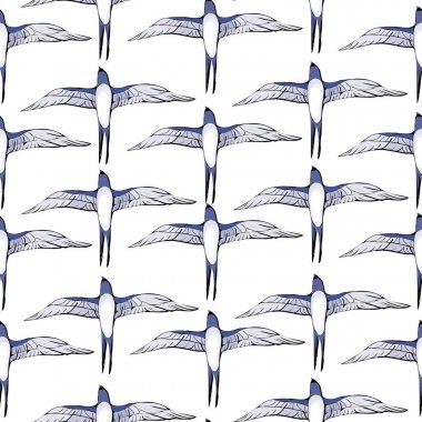 Kırlangıçlar kuşlar, illüstrasyon, vektör