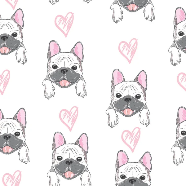 Modèle de bouledogue, vecteur, illustration — Image vectorielle