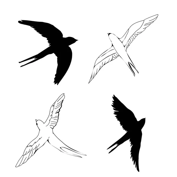 Engole pássaros, ilustração, vetor — Vetor de Stock