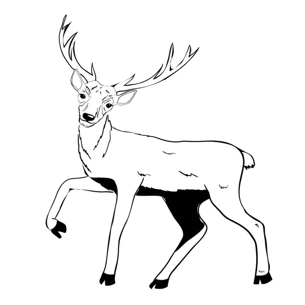 Motif de cerf, vecteur, illustration — Image vectorielle