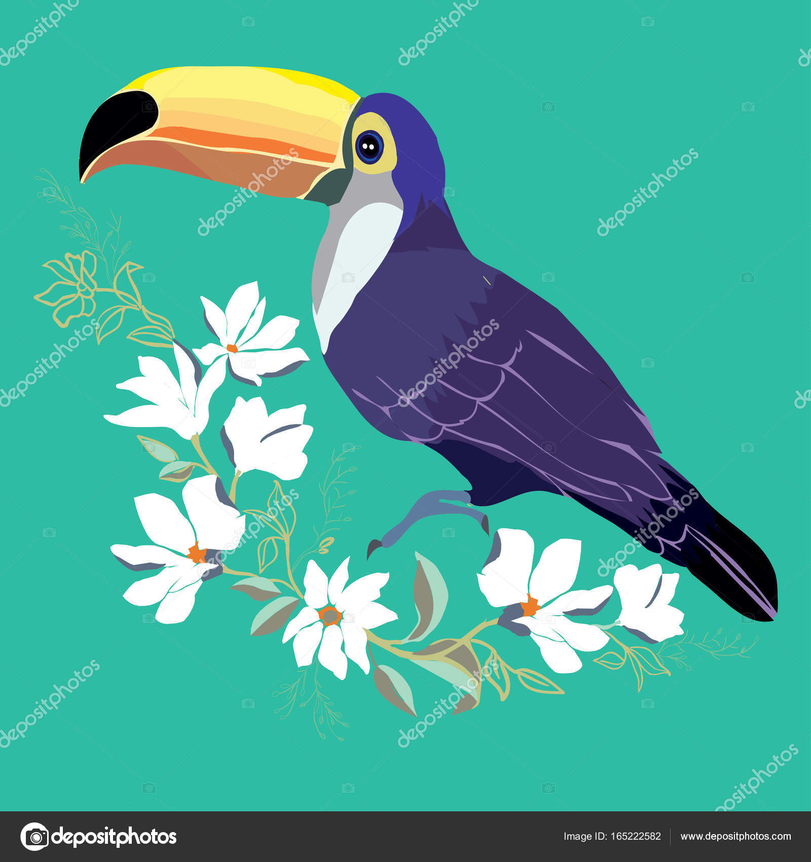 動物の画像について ラブリーオオハシ 鳥 イラスト 動物の画像について ラブリーオオハシ 鳥 イラスト