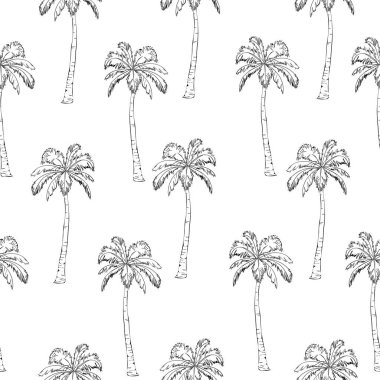 palmiye ağacı, model, vektör, illüstrasyon