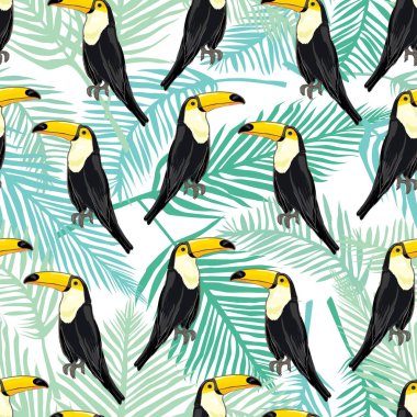 Tukan, kuş, vektör, illüstrasyon