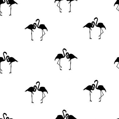 Flamingo, kuş, vektör, illüstrasyon