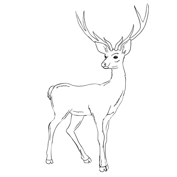 Motif de cerf, vecteur, illustration — Image vectorielle