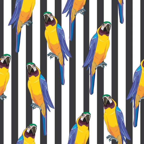 Papegaai, vogel, vector illustratie — Stockvector