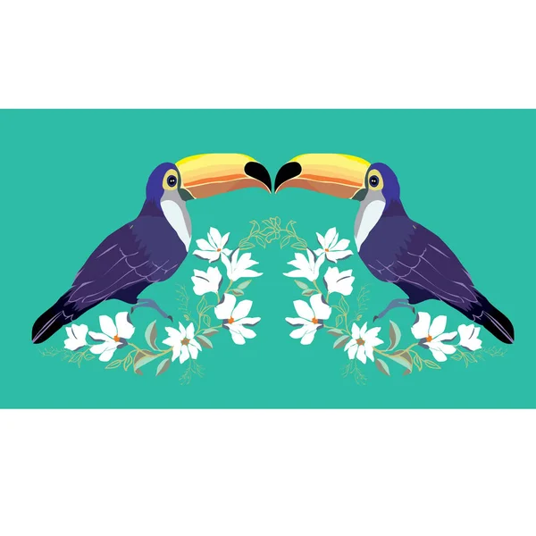 Toucan, oiseau, vecteur, illustration — Image vectorielle