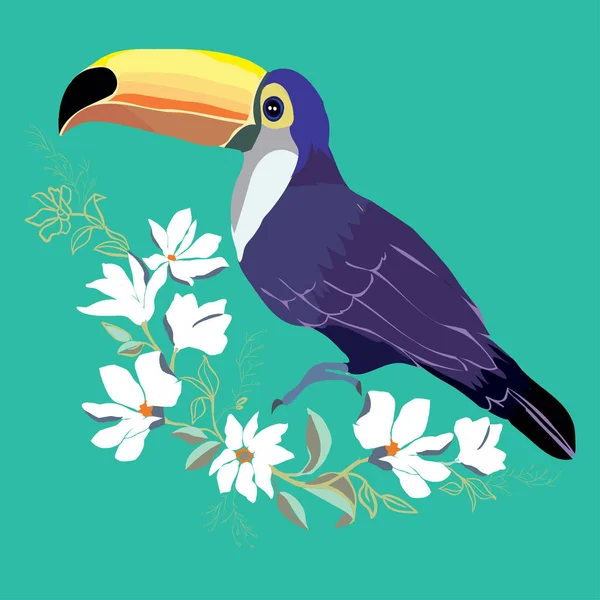 Toucan, pássaro, vetor, ilustração — Vetor de Stock