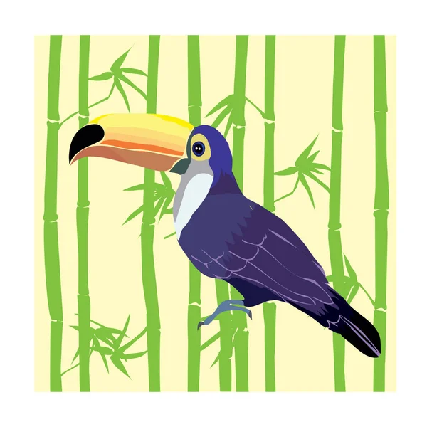 Toucan, fågel, vektor, illustration — Stock vektor