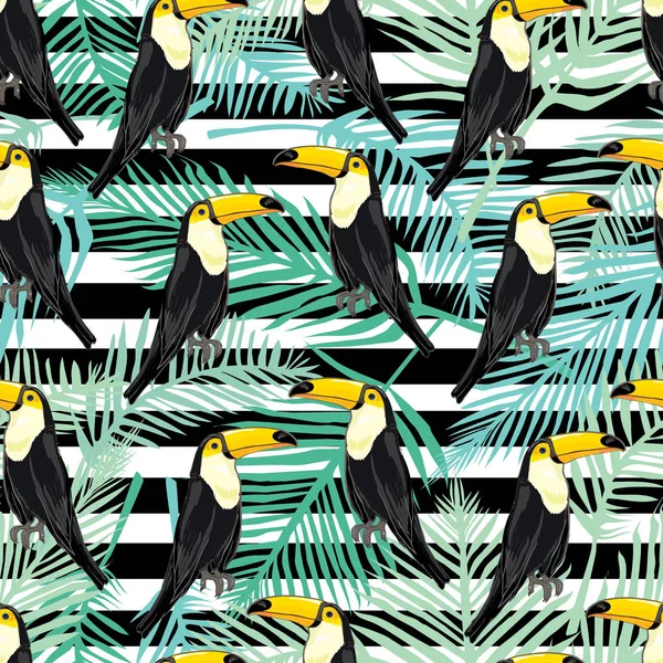 Tukan, kuş, vektör, illüstrasyon