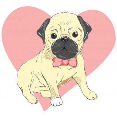 Pug köpek yüzlü - beyaz arka plan üzerinde izole vektör çizim