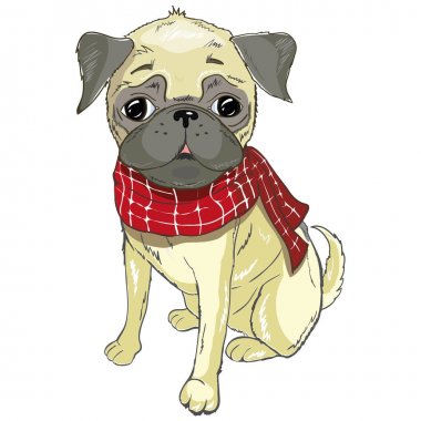 Pug köpek yüzlü - beyaz arka plan üzerinde izole vektör çizim