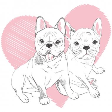 Pug köpek yüzlü - beyaz arka plan üzerinde izole vektör çizim