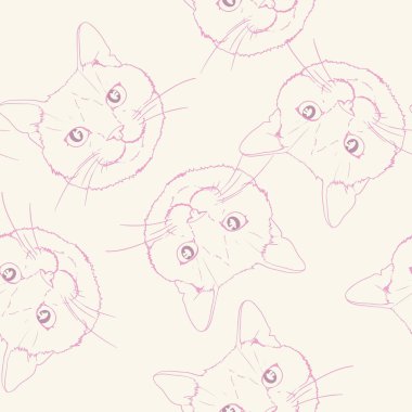 kedi model, vektör, illüstrasyon,