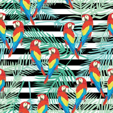 papağan kuş, vektör, illüstrasyon