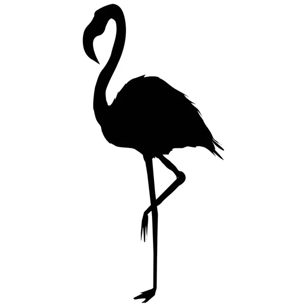 Flamingo silueta, vektor, ilustrace — Stockový vektor