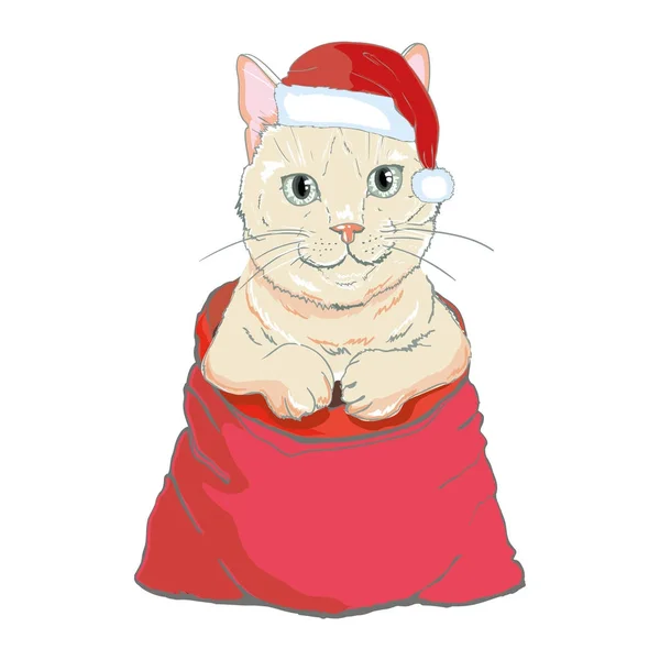 Рождественская открытка Cute kitten in the red Santa 's cap and with stri — стоковый вектор