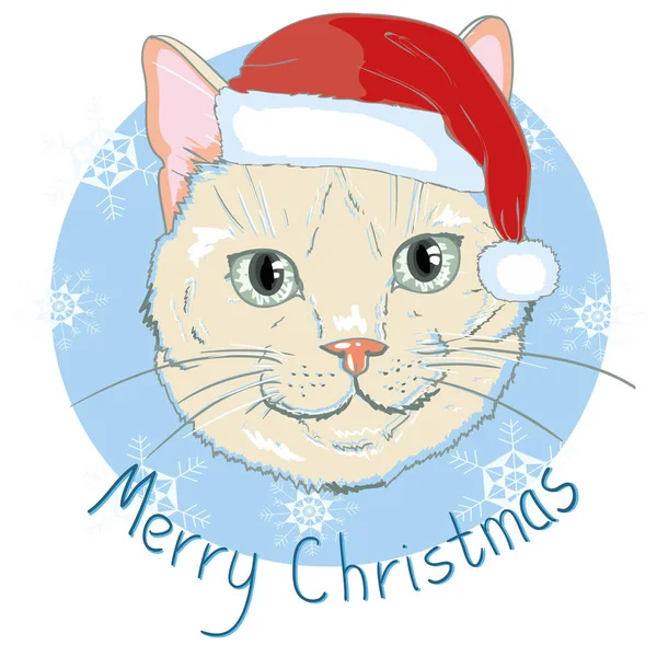 Tarjeta de Navidad. Lindo gatito en la gorra roja de Santa y con stri — Vector de stock