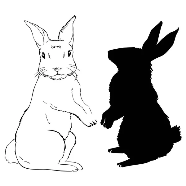 Tavşan siluet - vektör çizim — Stok Vektör
