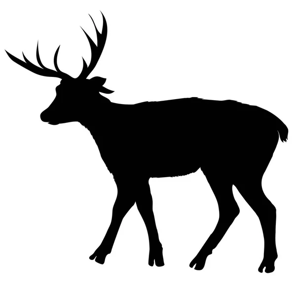 Cervo animale, vettore, illustrazione , — Vettoriale Stock