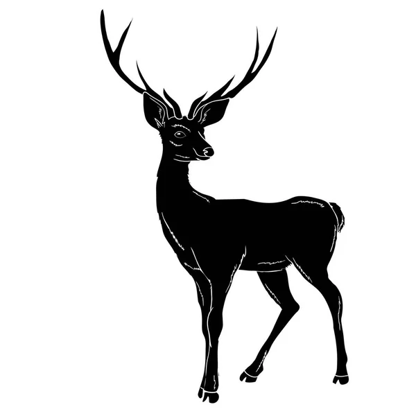 Venado animal, vector, ilustración , — Vector de stock