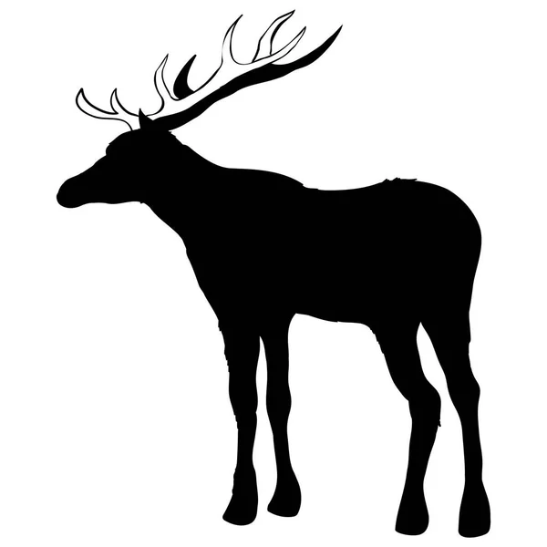 Deer zwierząt, wektor, ilustracja, — Wektor stockowy