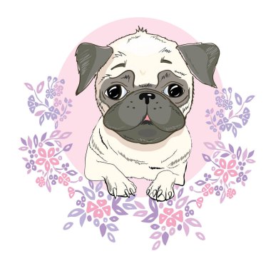 Pug köpek yüzlü - beyaz arka plan üzerinde izole vektör çizim