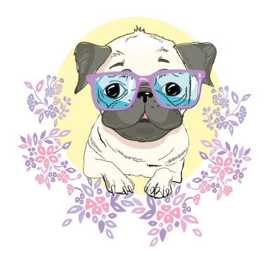 Pug köpek yüzlü - beyaz arka plan üzerinde izole vektör çizim