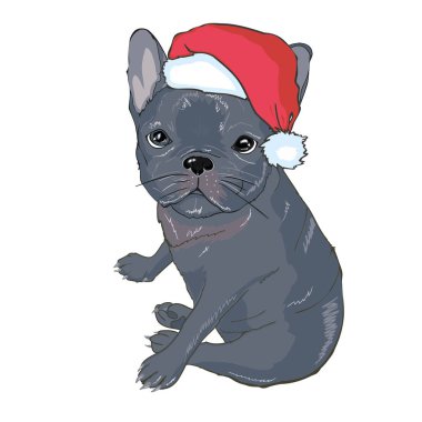 Noel tebrik kartı. Kırmızı Santa s şapka ile pug köpek