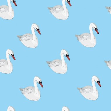 Beyaz Kuğu ile Seamless modeli. Üzerinde siyah backgrou beyaz kuğu